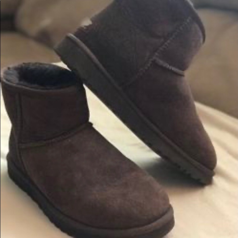 Short Chocolate Ugg Boots. Never Worn. size 8.